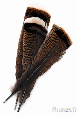 Bronzetruthahn - 35-38 cm - naturbraun